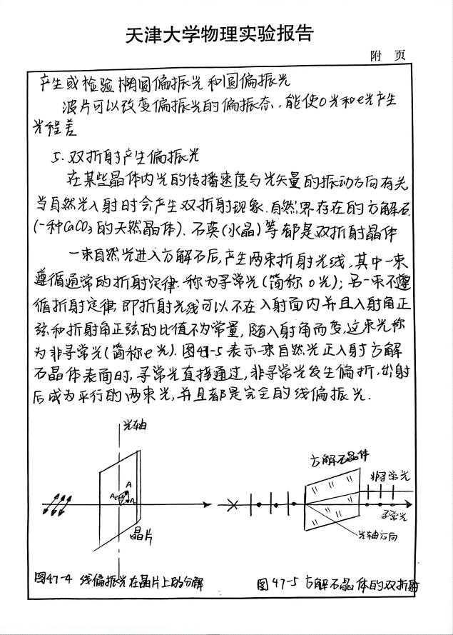 UFC下注APP